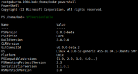 详谈Ubuntu PowerShell(小白入门必看教程)